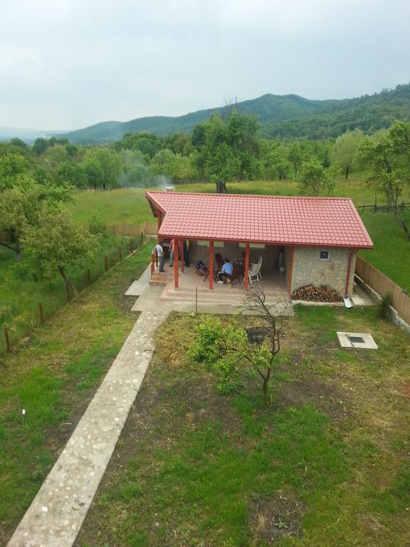 Pensiunea Agroturistica Ioana Villa Bradulet Exterior photo