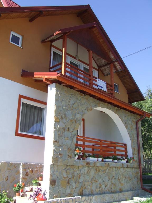 Pensiunea Agroturistica Ioana Villa Bradulet Exterior photo