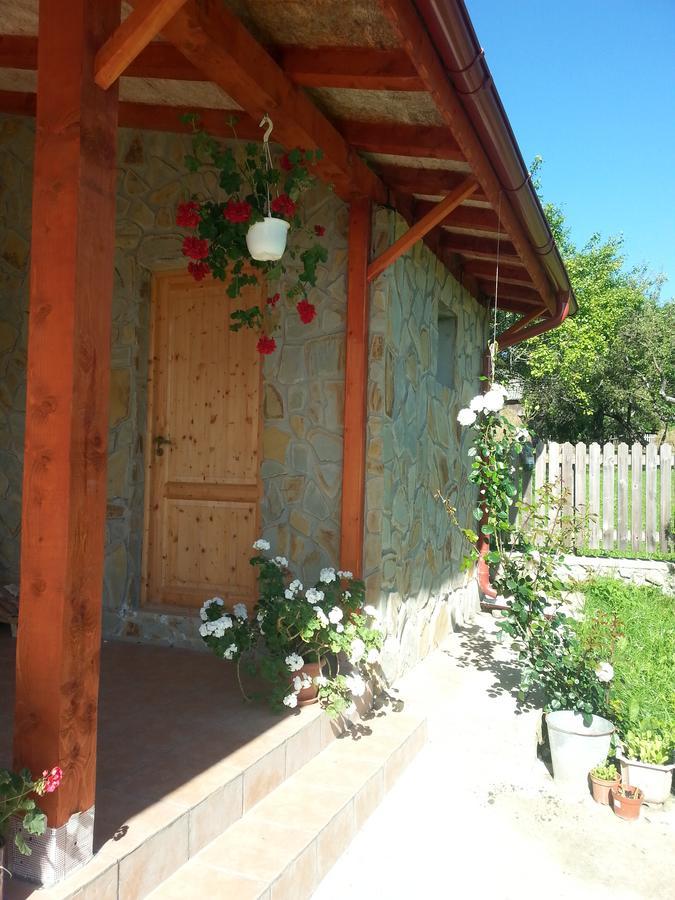 Pensiunea Agroturistica Ioana Villa Bradulet Exterior photo